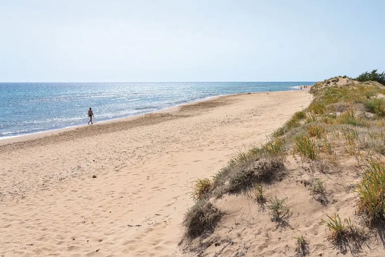 Halikounas Beach Korfu Villa Olivia Pentati