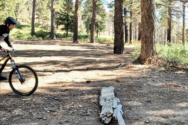 mountain biker approaching a bump jump