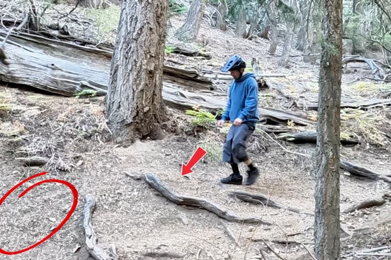 mountian biker looking at roots that can be bump jumped over