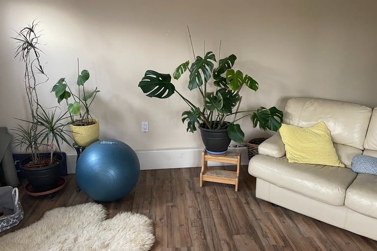 Treatment Room with a couch and plants