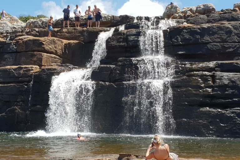 Enjoy swimming in the Mkambati pool