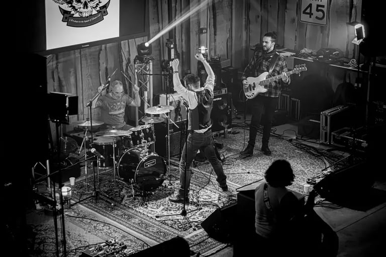 ROCK PASSENGERS IMAGES JOUE