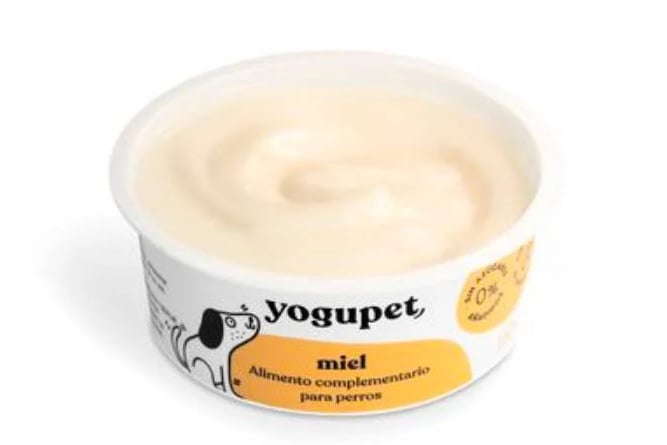 yaourt pour chiens miel