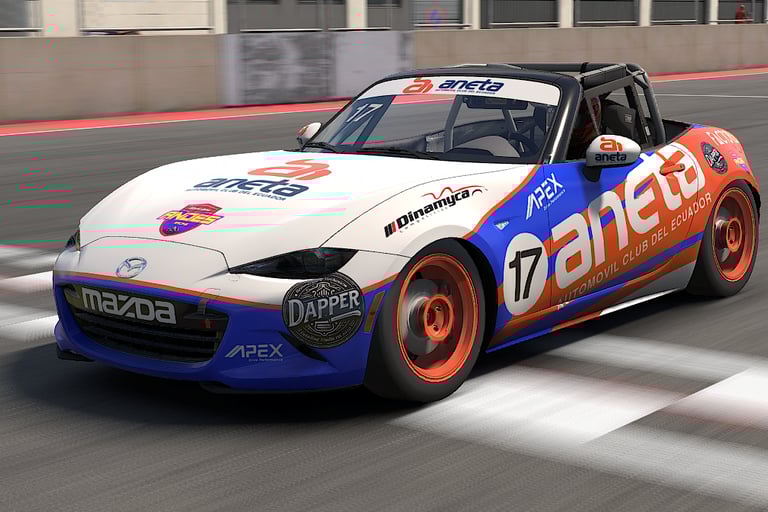 Iracing 2025 GP de los Andes