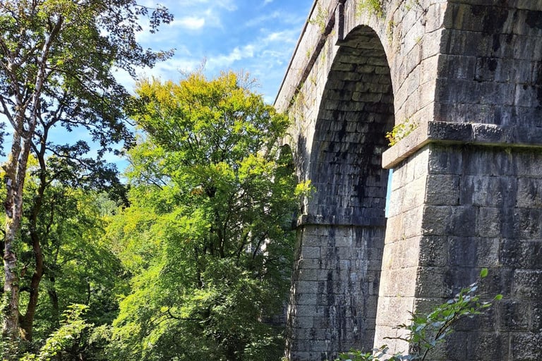 Luxulyan Valley / Viaduct