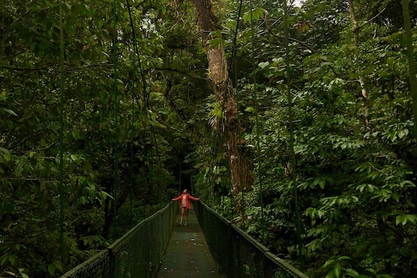 Monteverde Selvatura Park Hängebrücken