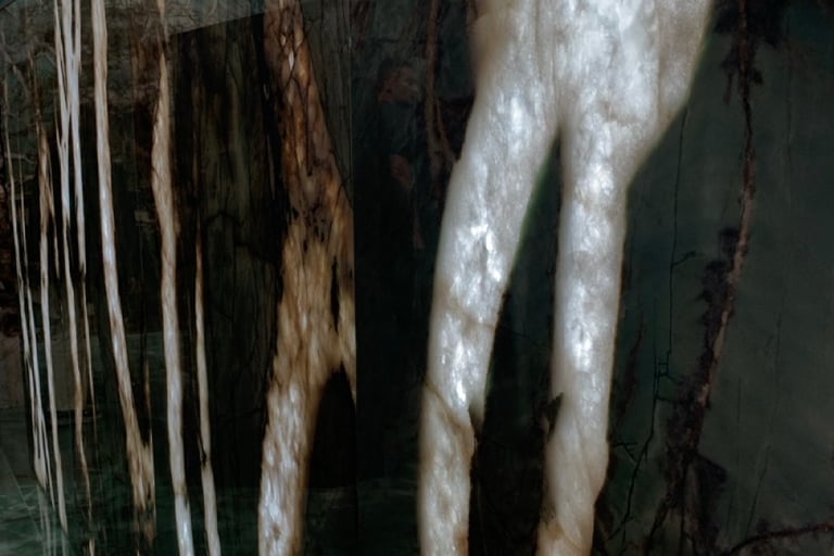 akmenine sienos apdaila