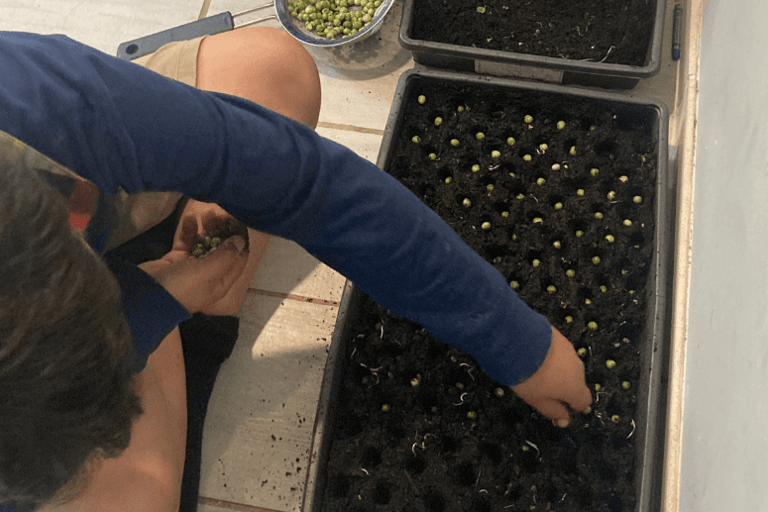 clarify your garden goals