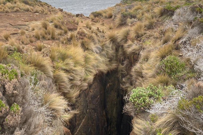 clif inside the path in a hike in Tasman National Park low vegetation windy weather