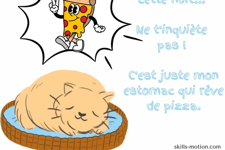 image bonne nuit humour chat