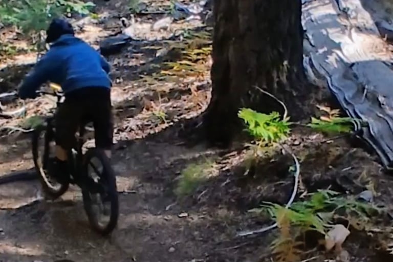 Back view of mtb rider about to go through a root section
