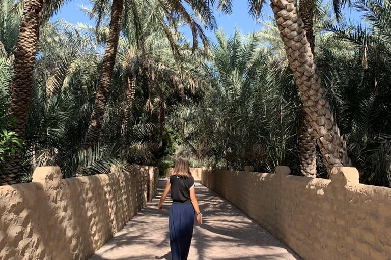 Oasi di Al Ain, Abu Dhabi