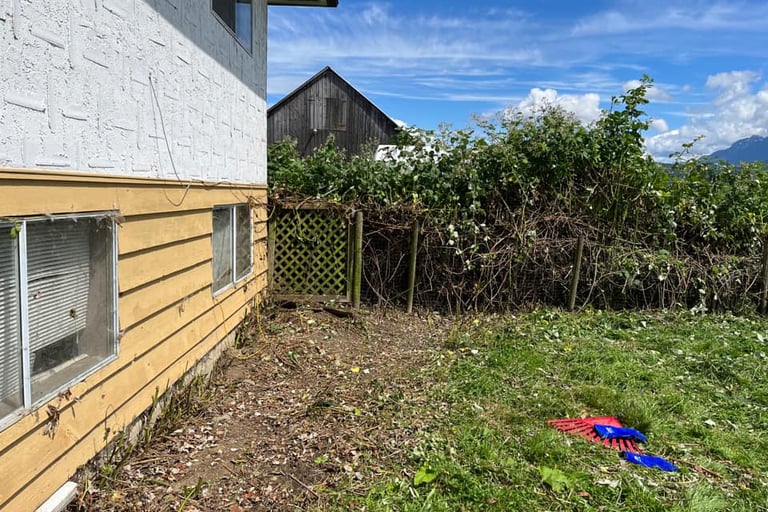 side of a house and gate now free of blackberries