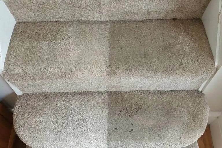 nettoyage de moquette injecteur extracteur shampouineuse angers