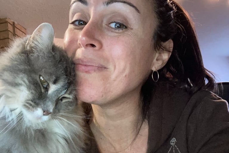 A gray and white cat snuggling with a woman
