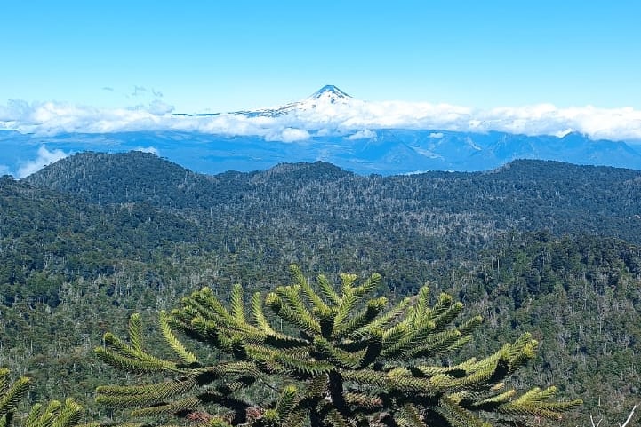 Cosa vedere a Pucon