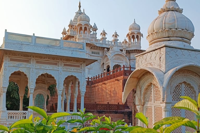 Cenopath a Jodhpur