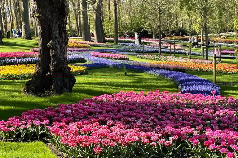 Keukenhof garden in Holland