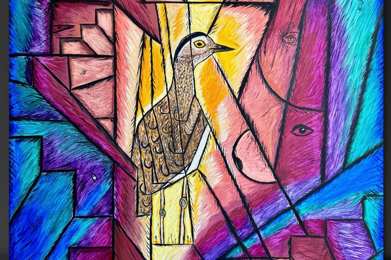 oiseau bird alcaravan