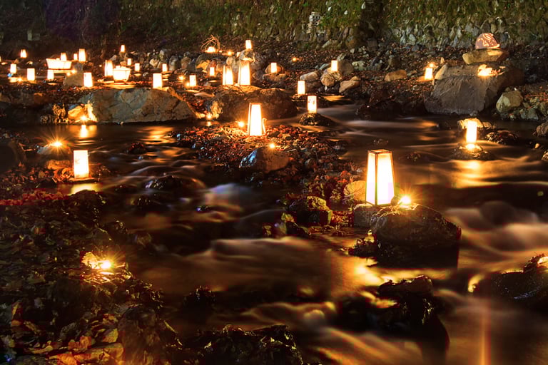 Samhain - heilige deine Wurzeln