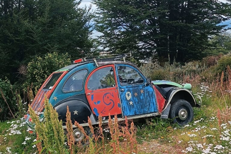 Cosa vedere a Punta Arenas