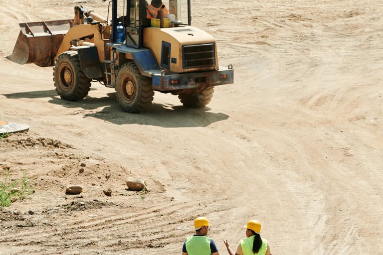 Función de la curaduría en Bogotá, función de la curaduría en Soacha