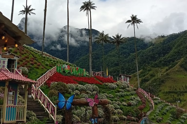 Set fotografico a Valle del Cocora