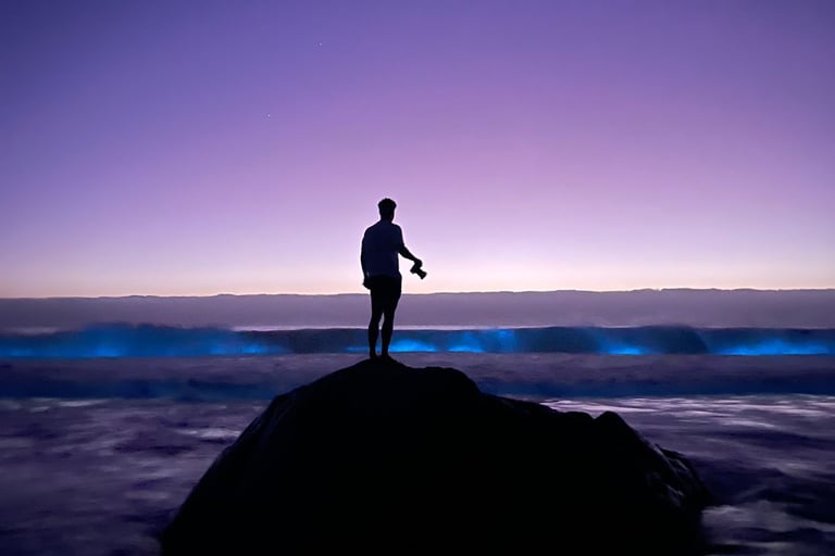 a person standing on a rock in the ocean