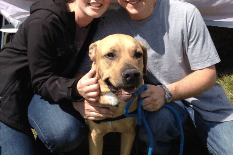 Balou happy and healthy on his adoption day!