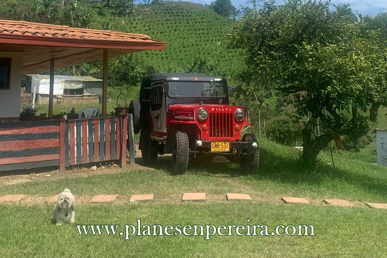tours por pereira