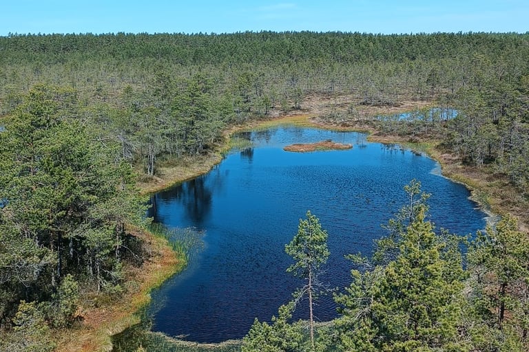 Lahemaa National Park in Estonia