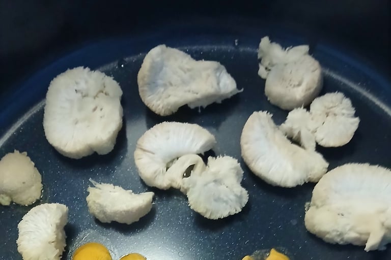 lions mane cooking in a pan on stove