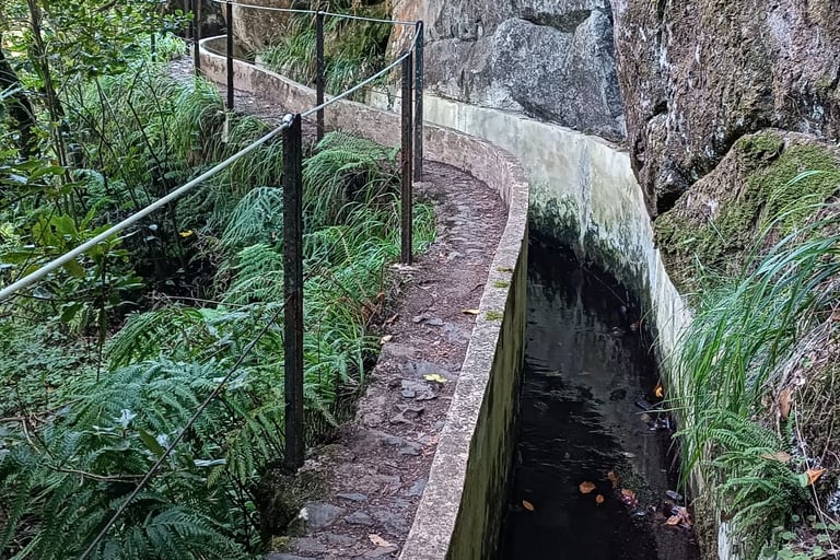 Llevada nella montagna di Madeira