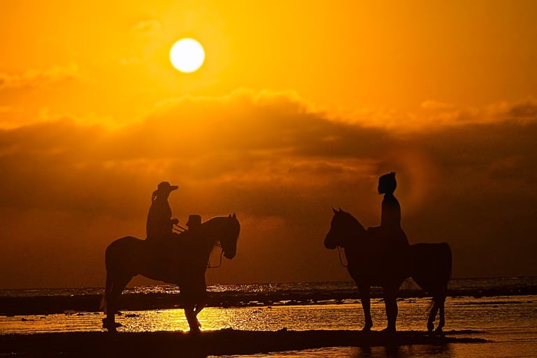Unforgettable Gili Islands sunset views with an iconic beach horse, ideal for post-dive relaxation.