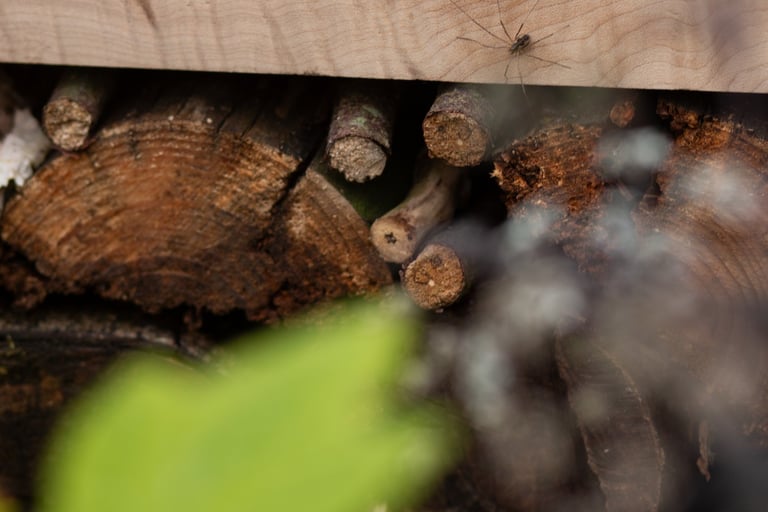 A spider visits the bespoke bench with log stack beneath