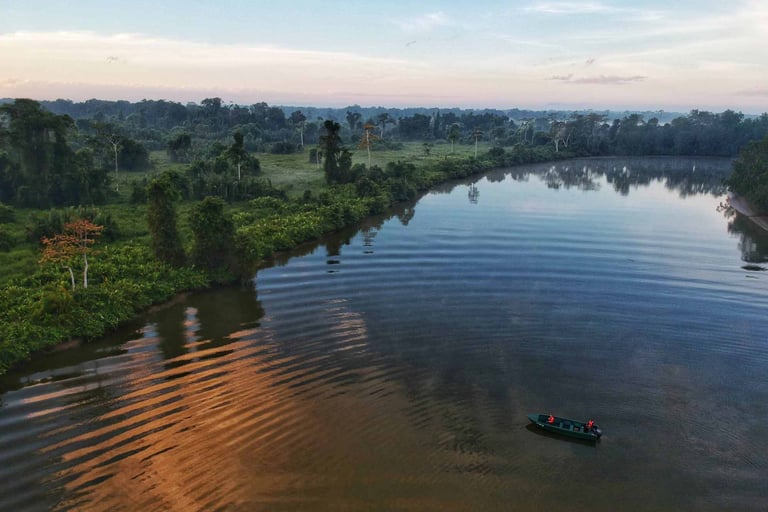 Kinabatangan River, Sabah Borneo
