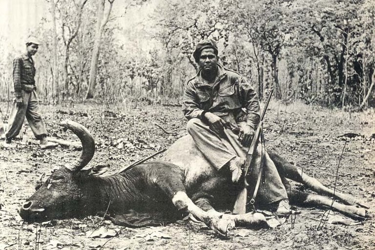 Last Photo of a Kouprey