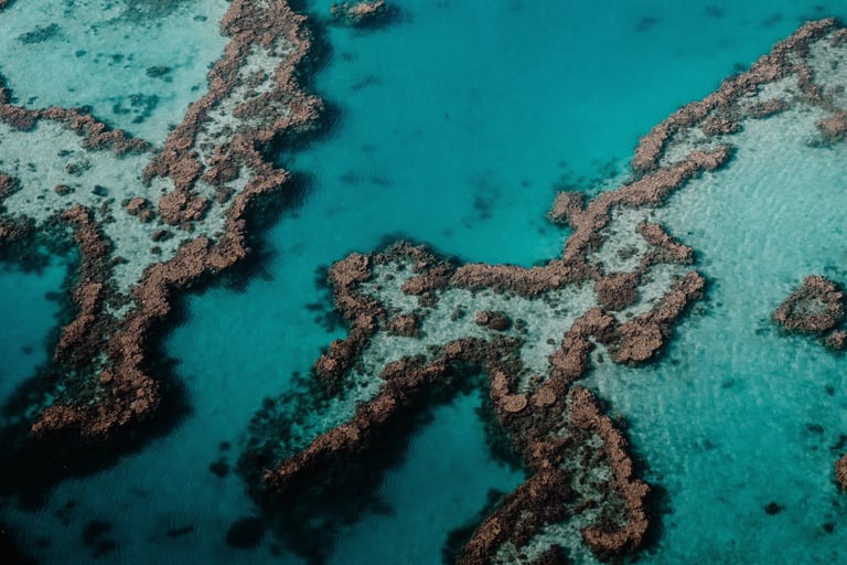 Australie Barrière de Corail - Studio Fauvve 