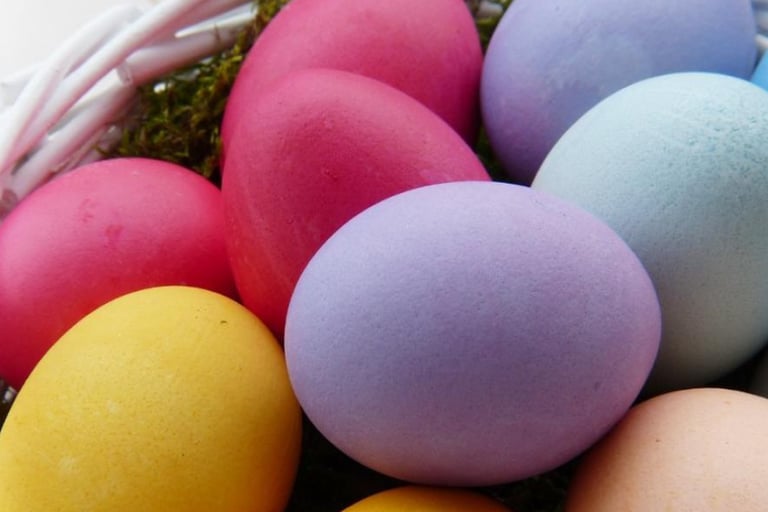 como colorir ovos de aves 