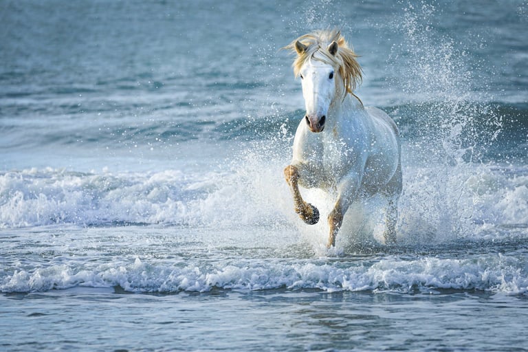 A majestic white horse galloping through ocean waves on a beach with water splashing.