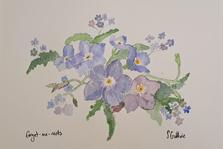 Forget me not watercolour on hot pressed watercolour paper