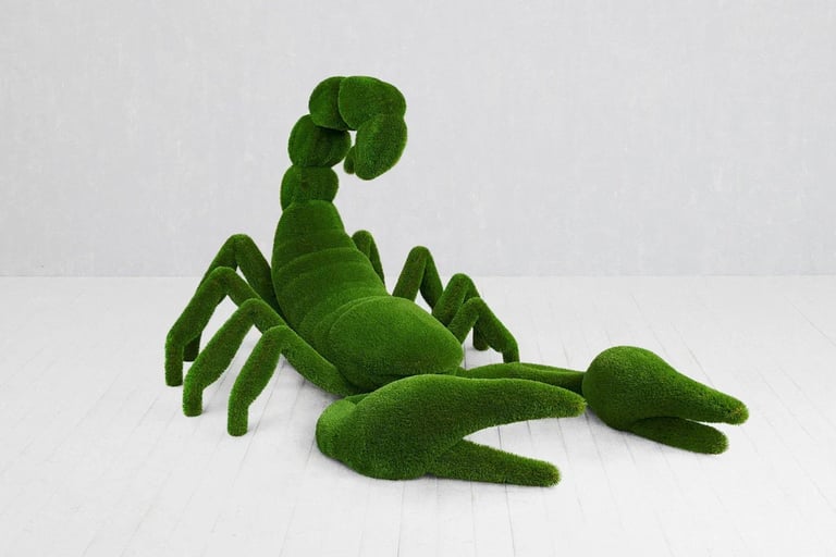 Turf Scorpion for rent for Quinceañera