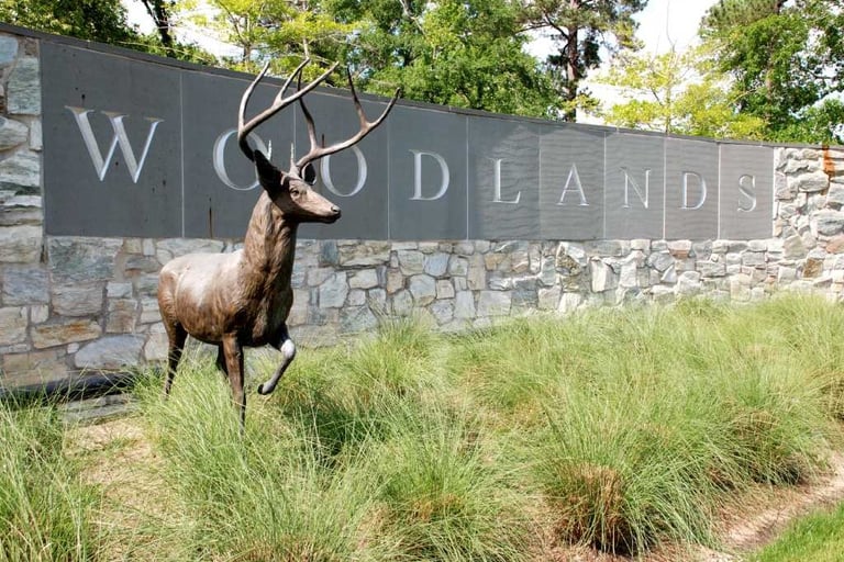 Swimming Pool Removal The Woodlands Spring Houston TX