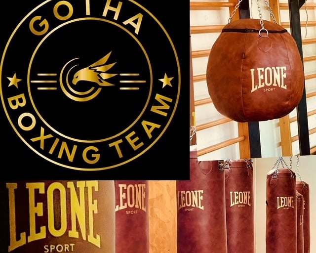 loghi della boxe Gotha