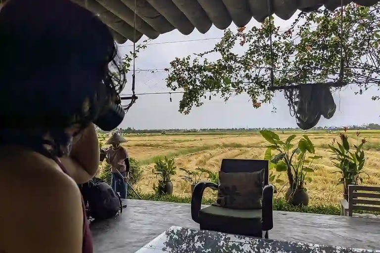 Working in a coworking space beside rice fields in Hoi An Vietnam