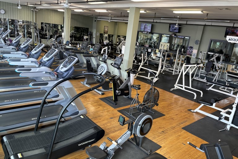 our cardio corner with a view of the cybex