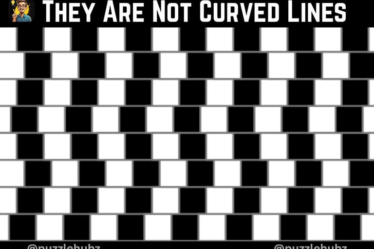 cafe illusion image