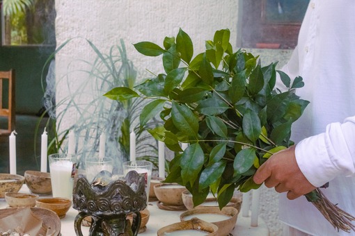 Persona espiritual sosteniendo un manojo de hojas verdes durante una ceremonia tradicional maya