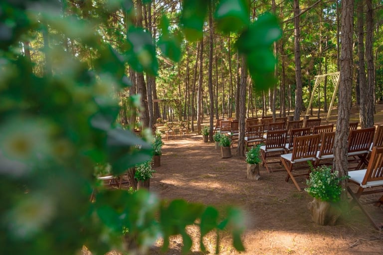 Ceremonia en el bosque. Instituto del Ambiente Jarabacoa