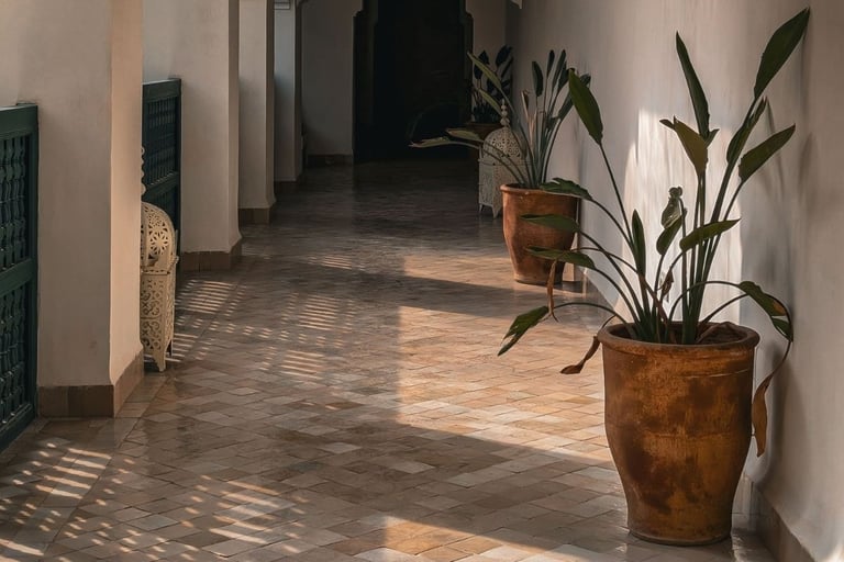 Long golden afternoon shadows stretching across a terracotta floor